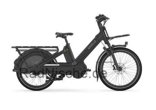 Gazelle Cabby technische daten